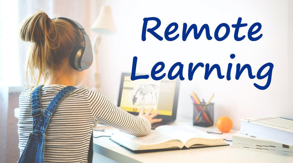 Remote Learning with student