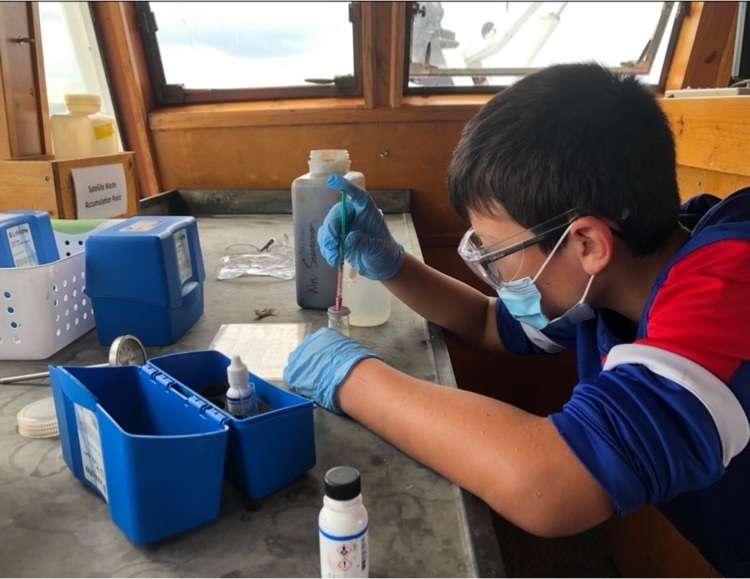 student inspects organisms